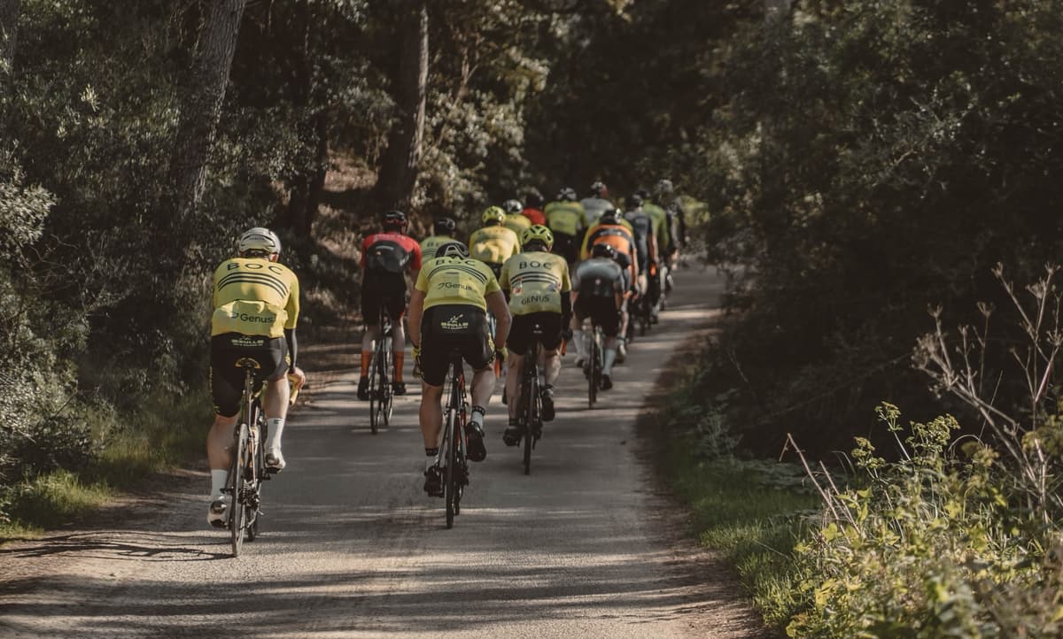 Gruppe syklister sett bakfra på en grusvei gjennom skogen