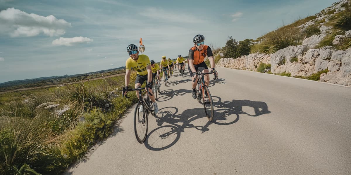 Syklister i gule BOC-drakter på en åpen vei ved steinmurer og lyng på Mallorca